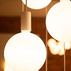 Tala 9-Light Pendant w/ LED Bulbs