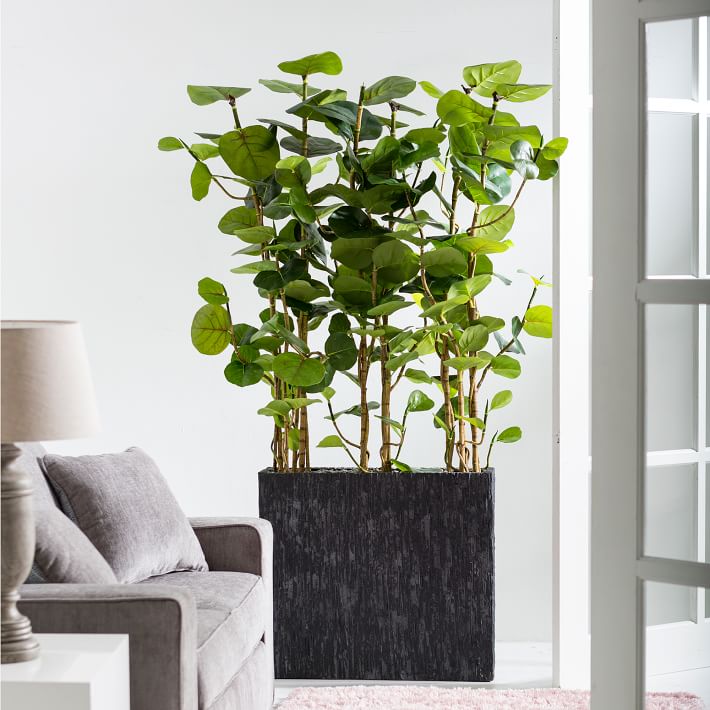 Faux Potted Sea Grape Tree w/ Planter