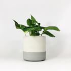 SETTLEWELL Straight-Sided Concrete Pot - Dark Gray