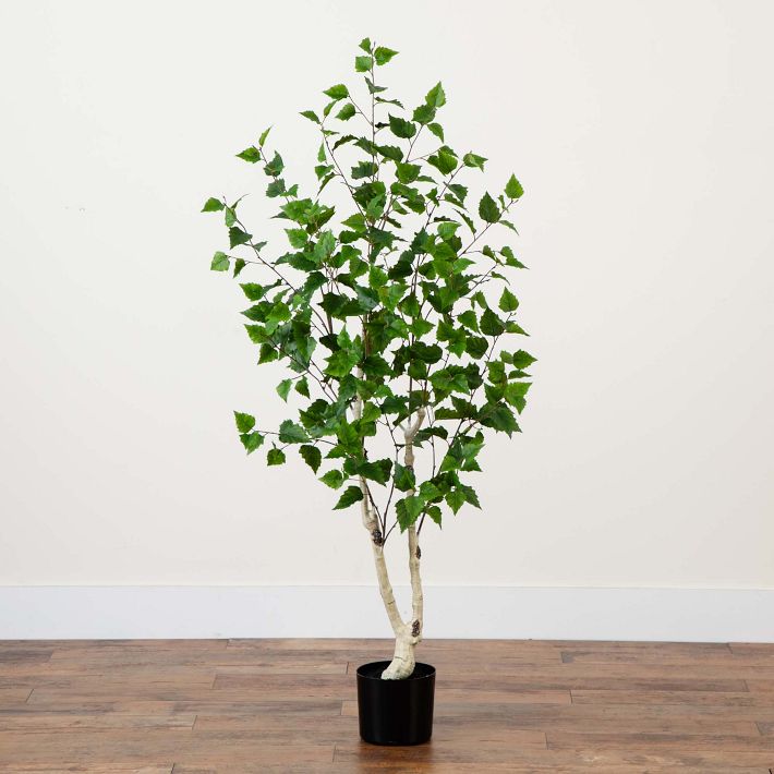 Faux Potted Birch Tree | West Elm