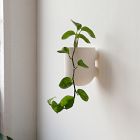 Misewell Ceramic Wall &amp; Tabletop Planter - White