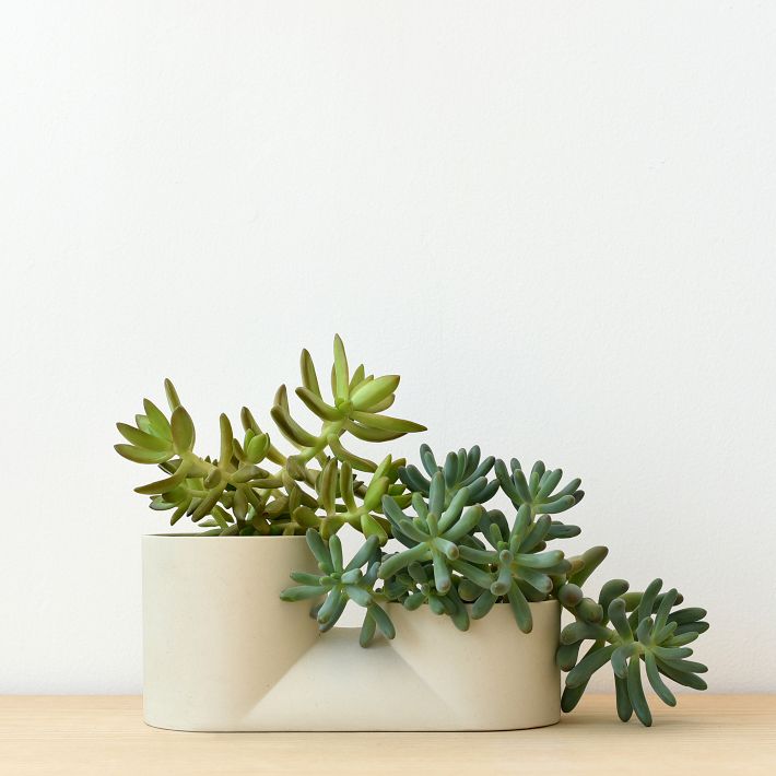 Misewell Ceramic Wall &amp; Tabletop Planter - White