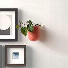 Misewell Ceramic Wall &amp; Tabletop Planter - White