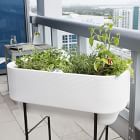 Lightweight Raised Nest Indoor/Outdoor Planters