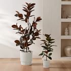 Faux Potted Rubber Tree