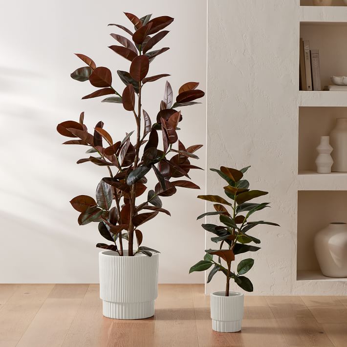 Faux Potted Rubber Tree