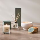 Alura Homescent Collection - White Aloe