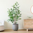 Faux Potted Ficus Tree &amp; Radius Planter Bundle