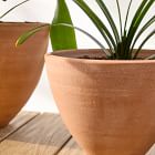 Diego Olivero Barro Indoor/Outdoor Terracotta Planters