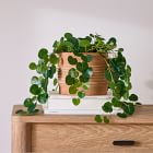 Faux Potted Trailing Leaf Plant