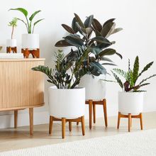 Indoor Planters