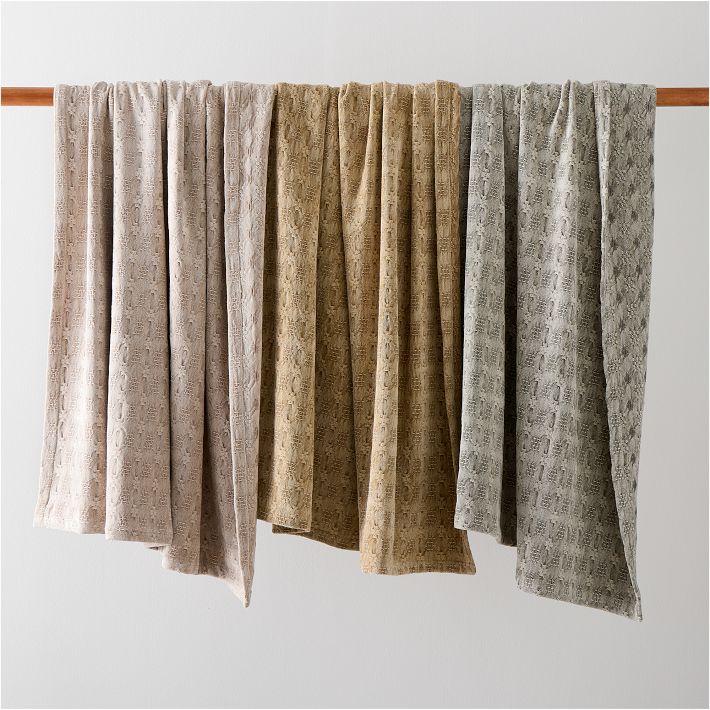 West Elm Chenille Throw