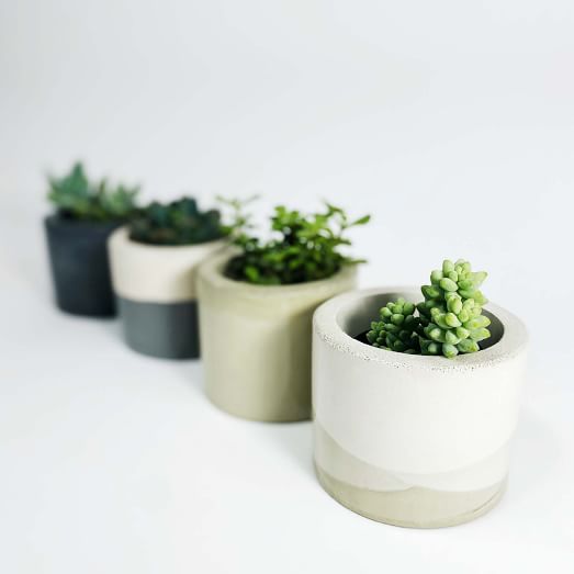 SETTLEWELL Short Concrete Vase | West Elm