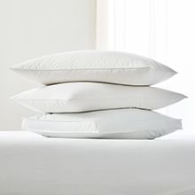 Bedding Basics