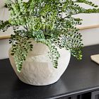 Faux Potted Maidenhair Fern Plant