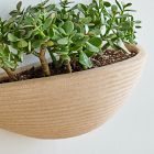 Mara Hoffman Terracotta Wall Planter