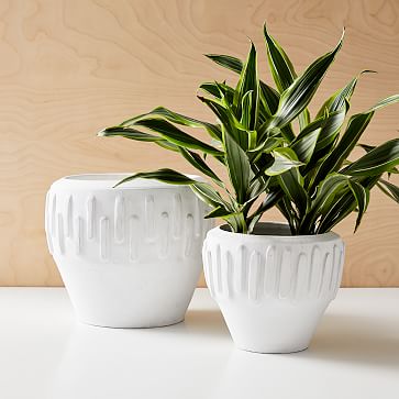 White Popsicle Terracotta Planters | West Elm