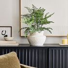 Faux Potted Maidenhair Fern Plant