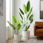 Faux Potted Bird of Paradise Plant