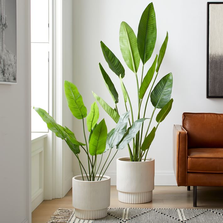 Faux Potted Bird of Paradise Plant