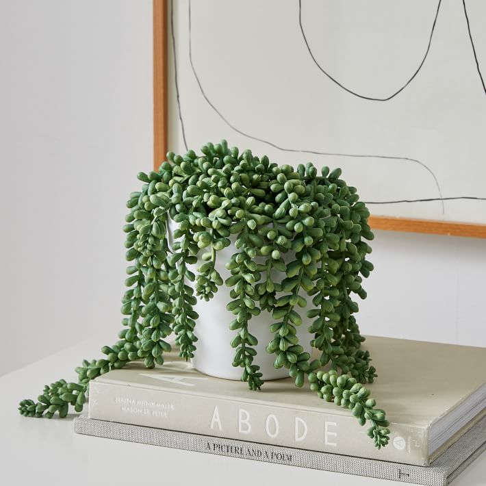 Faux Potted Donkey Tail Plant