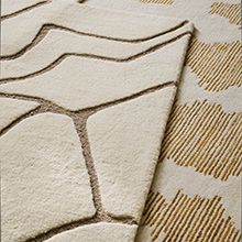 Modern Origin Rugs