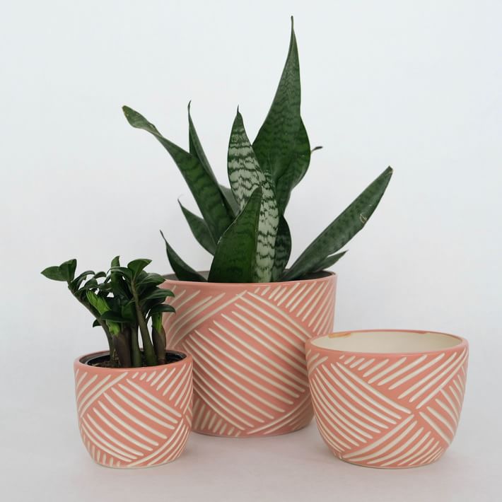 SampleHAUS Zulu Cachepot Planters