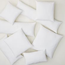 Pillow Inserts