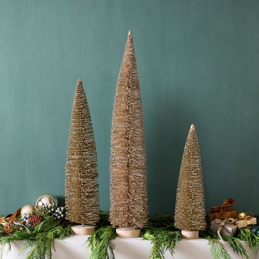 Champagne Bottlebrush Trees West Elm