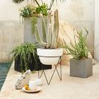 Iris Indoor/Outdoor Planters