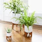 Mid-Century Turned Wood Tabletop Planters