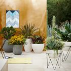 Iris Indoor/Outdoor Planters