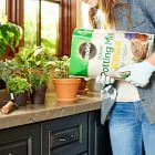 Miracle-Gro Indoor Potting Mix &amp; Plant Food