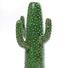 Glass Cactus Vase