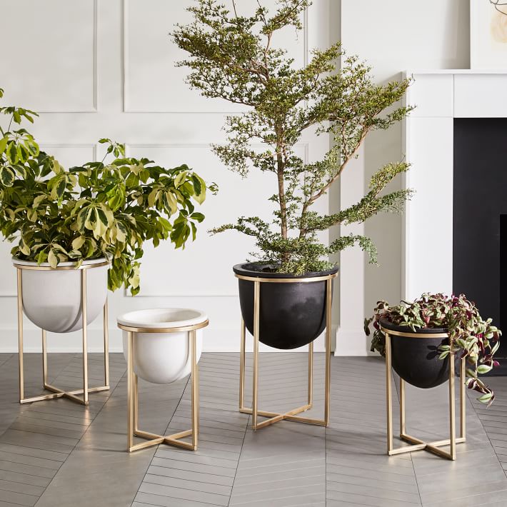 Eden Cross Base Brass Standing Planter West Elm