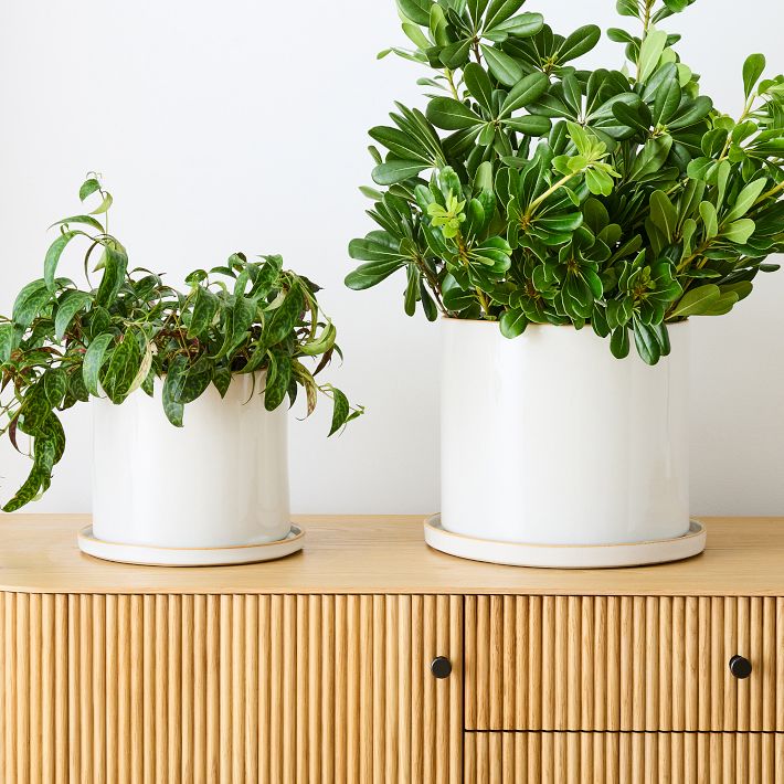Convivial Minimal Stoneware Planters (Small)
