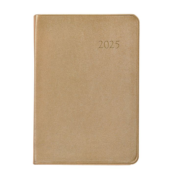 Leather Wrapped 2025 Daily Journal West Elm