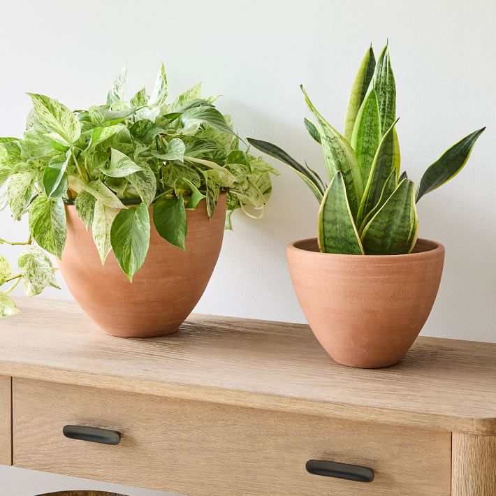 Diego Olivero Barro Indoor/Outdoor Terracotta Planters