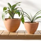 Diego Olivero Barro Indoor/Outdoor Terracotta Planters