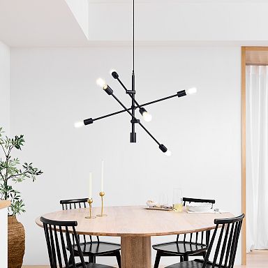 Modern West Elm shops Picture Light Fixture