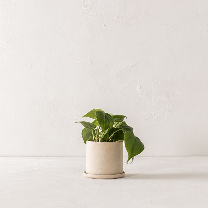 Convivial Minimal Raw Stoneware Planters