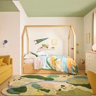 Kids National Geographic Dinosaur Quilt &amp; Shams