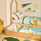 Kids National Geographic Dinosaur Quilt &amp; Shams