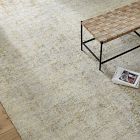 Distressed Foliage Rug