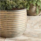 Grooved Terracotta Indoor/Outdoor Planters