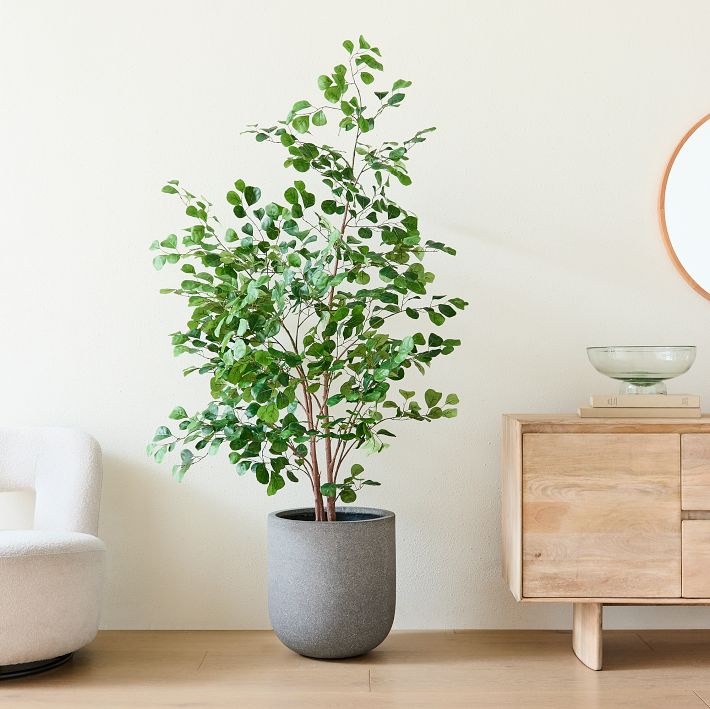 Faux Potted Ficus Tree &amp; Radius Planter Bundle