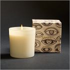 Curiosity Homescent Collection - Juniper Berry