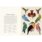 Animalium