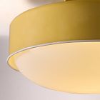Emerson Flush Mount