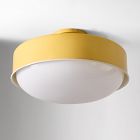 Emerson Flush Mount